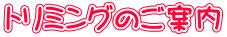 トリミングのご案内